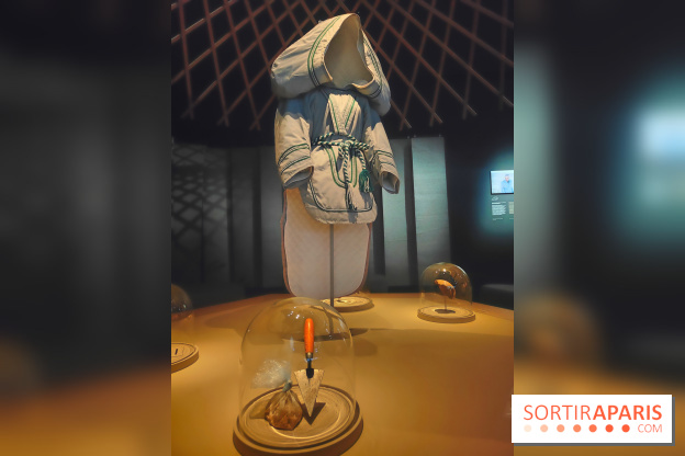 Déserts : l'exposition scientifique se dévoile au Muséum d'Histoire naturelle de Paris