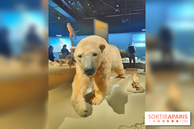Déserts : l'exposition scientifique se dévoile au Muséum d'Histoire naturelle de Paris