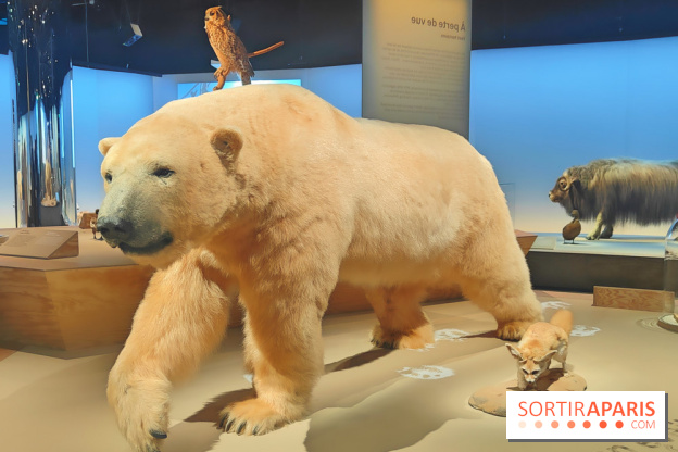 Déserts : l'exposition scientifique se dévoile au Muséum d'Histoire naturelle de Paris