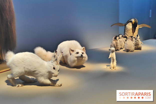 Déserts : l'exposition scientifique se dévoile au Muséum d'Histoire naturelle de Paris