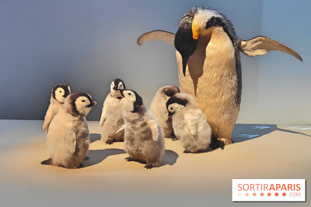 Déserts : l'exposition scientifique se dévoile au Muséum d'Histoire naturelle de Paris - fotor 1743502115937