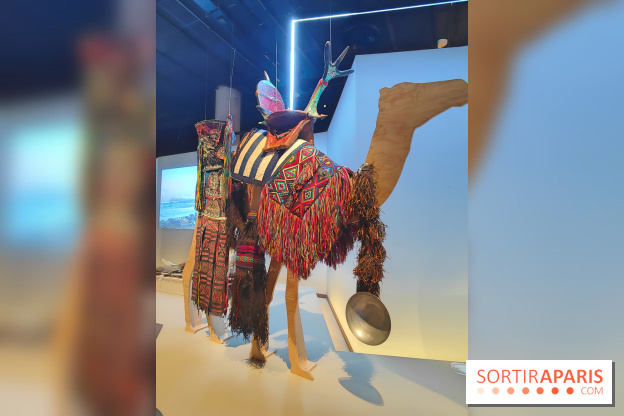 Déserts : l'exposition scientifique se dévoile au Muséum d'Histoire naturelle de Paris