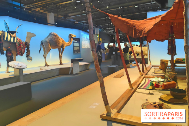 Déserts : l'exposition scientifique se dévoile au Muséum d'Histoire naturelle de Paris