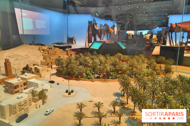 Déserts : l'exposition scientifique se dévoile au Muséum d'Histoire naturelle de Paris - fotor 1743501930535