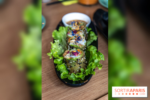 Buja restaurant végétarien thaï et Viet Paris 13e - photos - rouleau de printemps