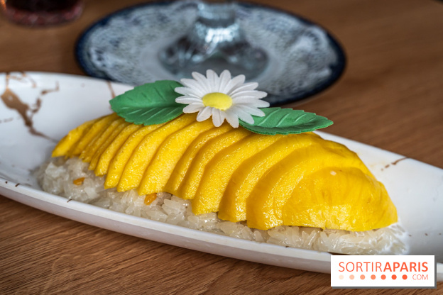 Buja restaurant végétarien thaï et Viet Paris 13e - photos - Mango sticky rice