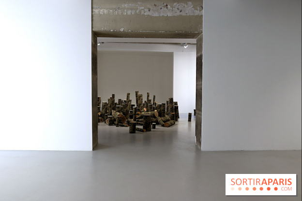 Osvaldo González et Zhanna Kadyrova à la Galleria Continua, nos photos - Galleria Continua 4 fotor 20250401191733