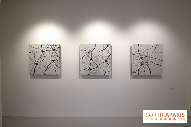 Osvaldo González et Zhanna Kadyrova à la Galleria Continua, nos photos - Galleria Continua 9