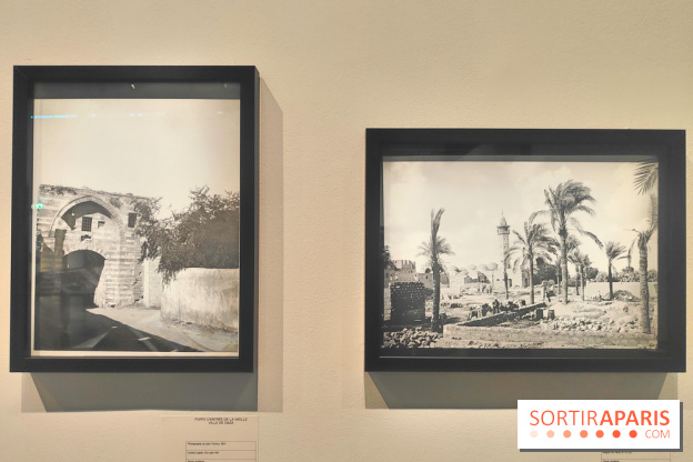 Trésors sauvés de Gaza : l'histoire de Gaza exposée à travers des vestiges archéologiques à l'IMA  - fotor 1743592106883