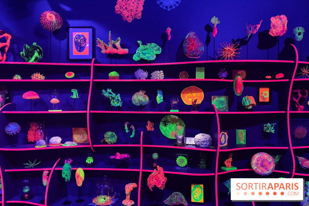 Digital Abysses au musée en Herbe - nos photos - 0129F15A 5778 46C1 BB45 E8B6ED6C3104