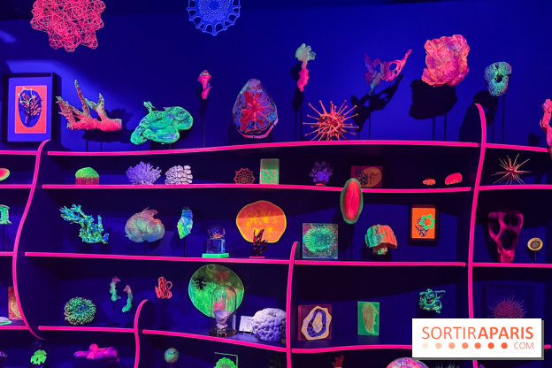 Digital Abysses au musée en Herbe - nos photos - 15690B68 4949 4539 BC96 936B6E5F3B2B