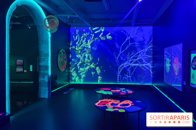 Digital Abysses au musée en Herbe - nos photos - 8F23999D 18C5 4CB3 8088 2779B3961DD3