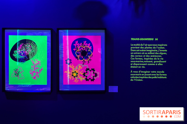 Digital Abysses au musée en Herbe - nos photos - 8163347A 53DC 4CE8 8C09 D2AA6F7C6E47