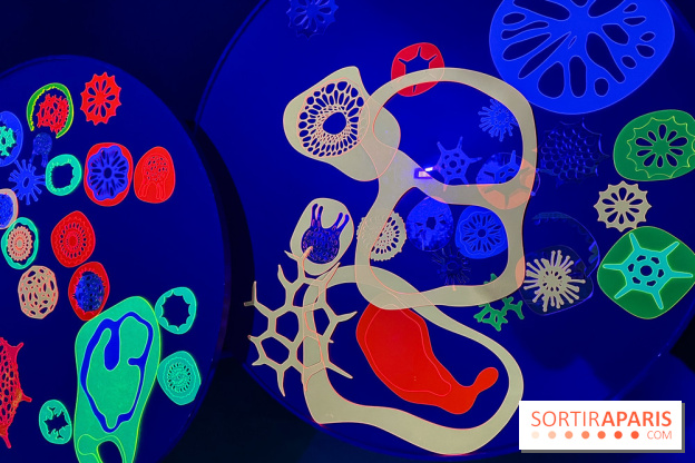 Digital Abysses au musée en Herbe - nos photos - 23C050E1 29AD 4602 97AF 05F2D4696EF9