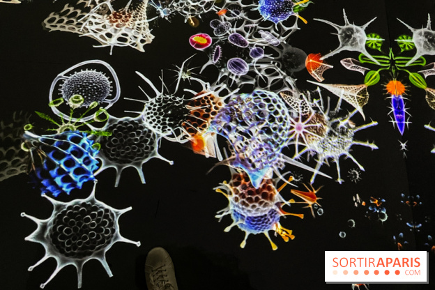 Digital Abysses au musée en Herbe - nos photos - 0C1D3888 B5AF 4DB5 B95C E380DAC83D06