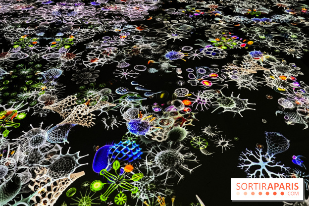 Digital Abysses au musée en Herbe - nos photos - 7E0115A3 377F 4561 B085 EA5755EE7777