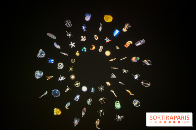 Digital Abysses au musée en Herbe - nos photos - 9ECF3129 95DF 4C74 9051 704E8027F710