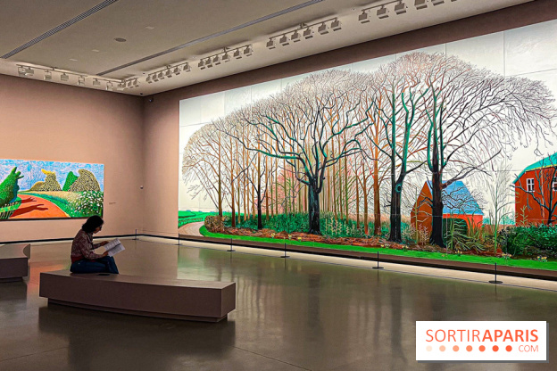 David Hockney : la plus grande exposition retrospective de l'artiste à la Fondation Louis Vuitton - IMG 8557 jpg