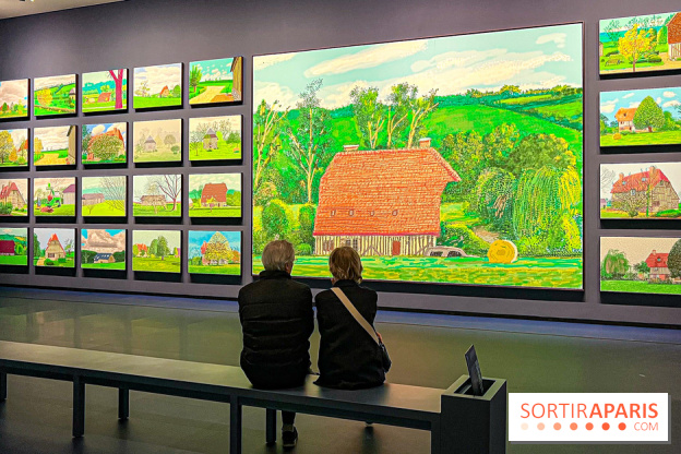 David Hockney : la plus grande exposition retrospective de l'artiste à la Fondation Louis Vuitton - IMG 8652 jpg