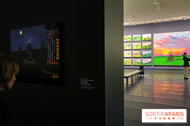 David Hockney : la plus grande exposition retrospective de l'artiste à la Fondation Louis Vuitton - IMG 8674 jpg