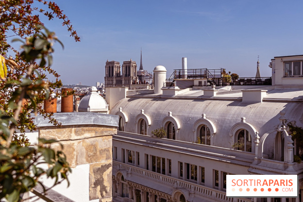 Rooftop de Dame des Arts, la terrasse panoramique sur les toits de Paris - photos  - A7C06287