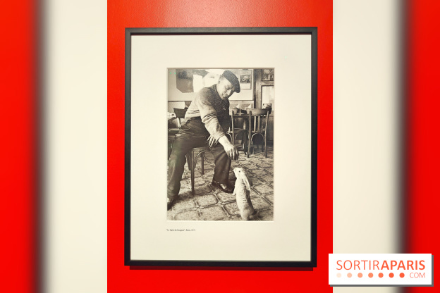 Robert Doisneau - Instants donnés : l'exposition photo se dévoile au musée Maillol - fotor 1744812631659