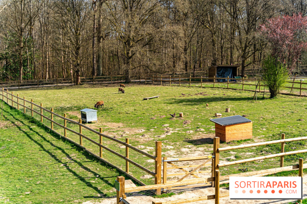 La Ferme de l’Abbaye des Vaux de Cernay : l'hôtel de charme en pleine nature dans les Yvelines - photos