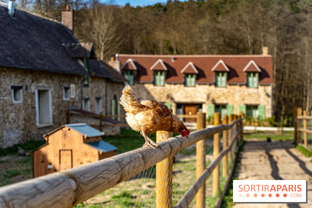 La Ferme de l’Abbaye des Vaux de Cernay : l'hôtel de charme en pleine nature dans les Yvelines - photos