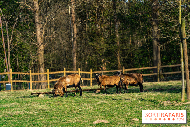 La Ferme de l’Abbaye des Vaux de Cernay : l'hôtel de charme en pleine nature dans les Yvelines - photos