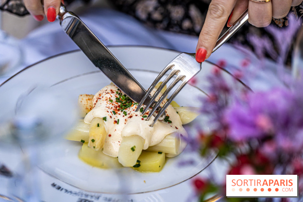 Terrasse de l'Hôtel Particulier, le jardin verdoyant au cœur de Montmartre - photo - A7C06425