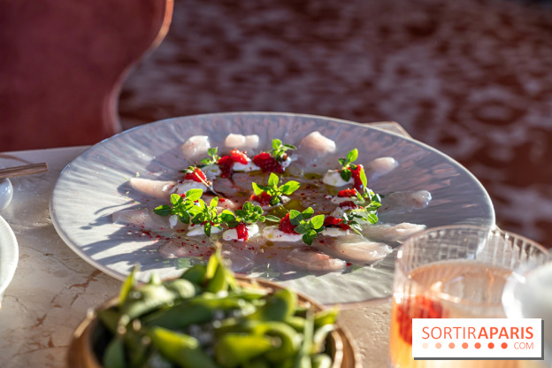 Kinugawa Rive Gauche à Paris, le restaurant en rooftop de l'Hôtel Sax - photos