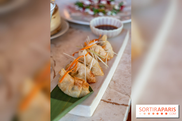 Kinugawa Rive Gauche à Paris, le restaurant en rooftop de l'Hôtel Sax - photos