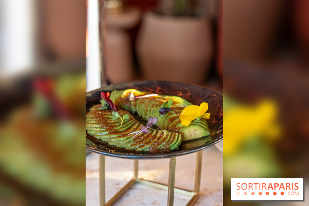 Kinugawa Rive Gauche à Paris, le restaurant en rooftop de l'Hôtel Sax - photos