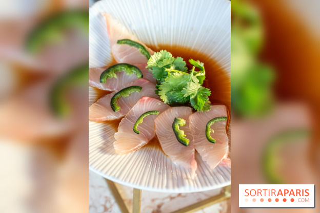 Kinugawa Rive Gauche à Paris, le restaurant en rooftop de l'Hôtel Sax - photos