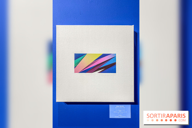 Exposition Figurabstra à la galerie Goldshteyn-Saatort - IMG 4857