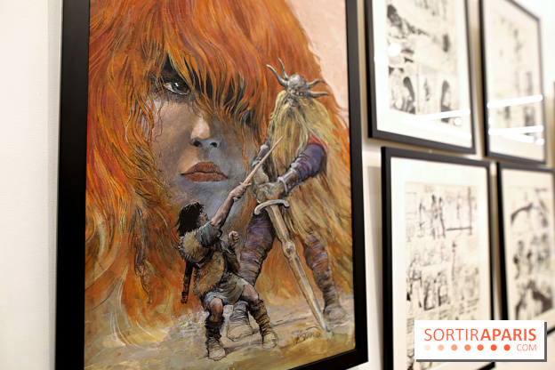 Rétrospective Grzegorz Rosinski, nos photos de l'expo gratuite à Paris - Expo Thorgal 12