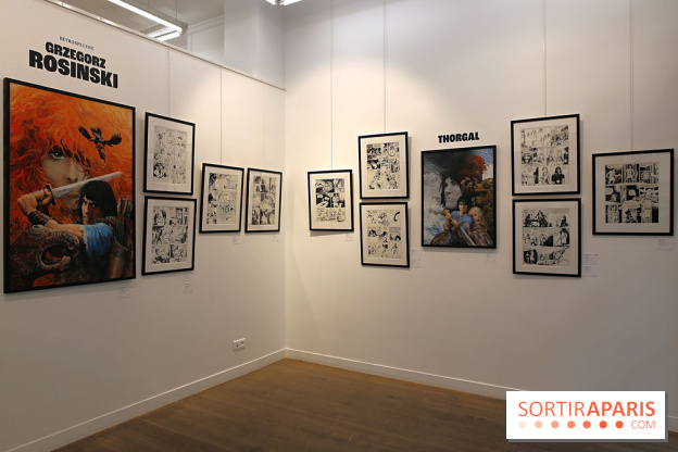 Rétrospective Grzegorz Rosinski, nos photos de l'expo gratuite à Paris - Expo Thorgal 18