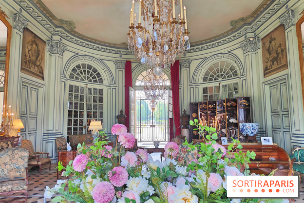 Château de Champs-sur-Marne, visuels