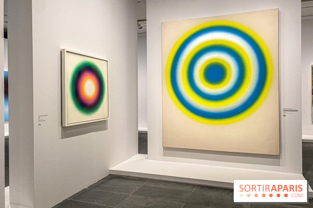 Dans le Flou, l'exposition dans le brouillard au Musée de l'Orangerie - IMG 5299