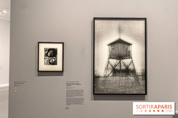 Dans le Flou, l'exposition dans le brouillard au Musée de l'Orangerie - IMG 5302