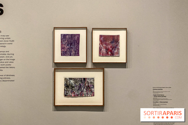 Dans le Flou, l'exposition dans le brouillard au Musée de l'Orangerie - IMG 5303