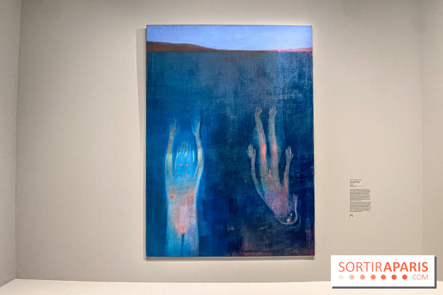 Dans le Flou, l'exposition dans le brouillard au Musée de l'Orangerie - IMG 5304