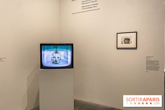 Dans le Flou, l'exposition dans le brouillard au Musée de l'Orangerie - IMG 5306