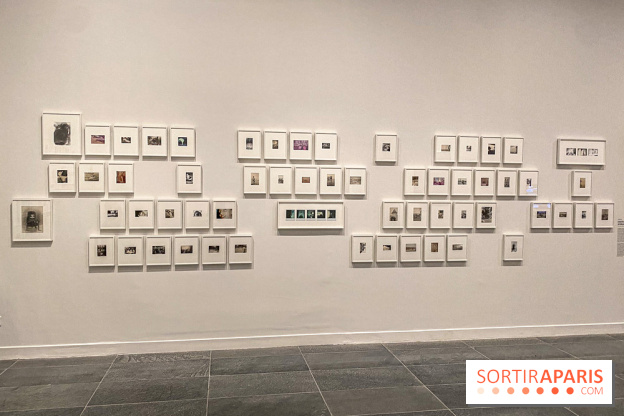 Dans le Flou, l'exposition dans le brouillard au Musée de l'Orangerie - IMG 5308