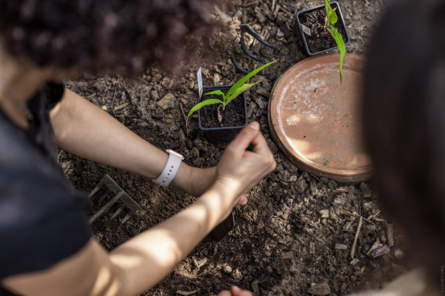 Campagne #1223 - Jardin21 LevietPhoto 062024 2013
