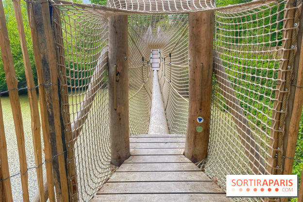 Mission Forêt - IMG 2142