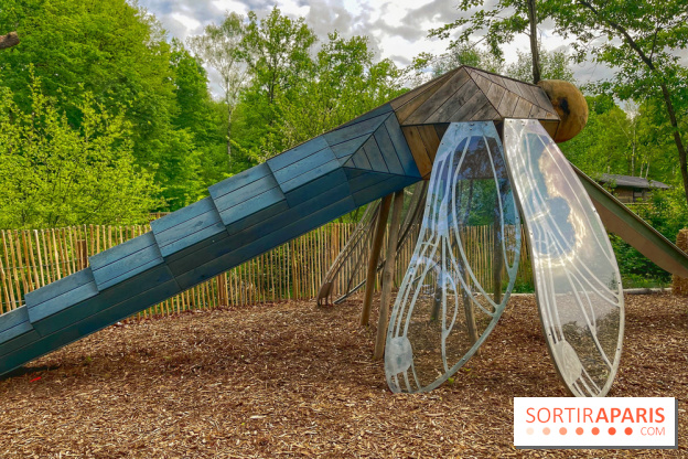 Mission Forêt - IMG 2144