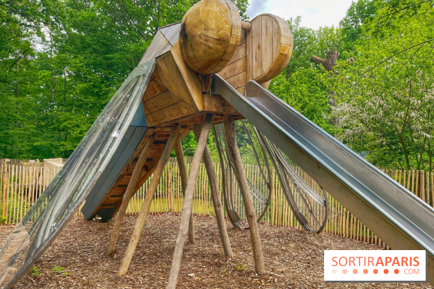 Mission Forêt - IMG 2145