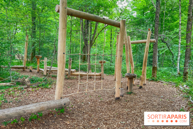 Mission Forêt - IMG 2149