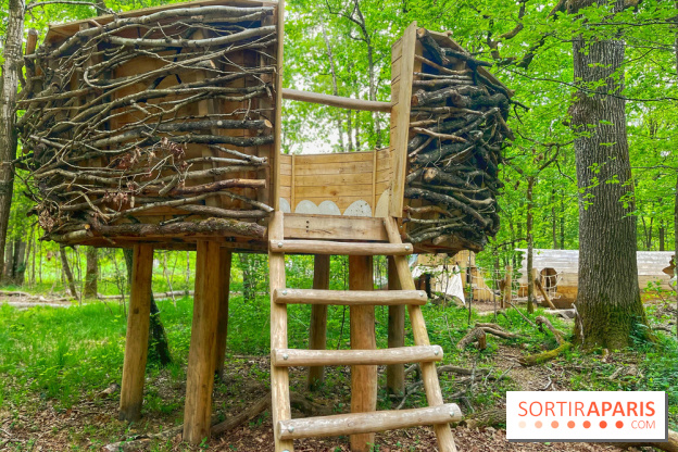 Mission Forêt - IMG 2151